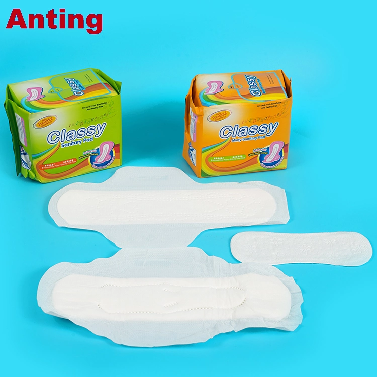 Hotsale Wholesale Ladies Sanitary Pads OEM Brand Sanitary Towel Economic Super Absorbency Girl Sanitary Napkin