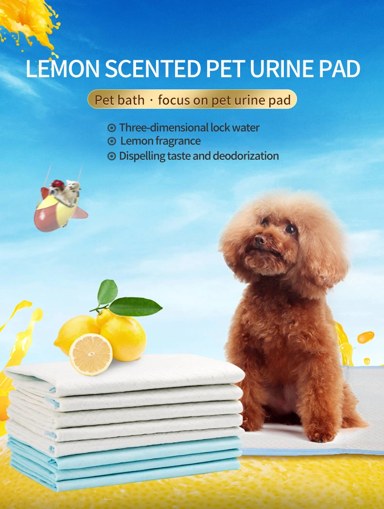 Absorbent Dog Pad China Low Cost Pet Dog Select PEE Absorbent Pads Pet Training Urinal Pads